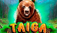 Taiga